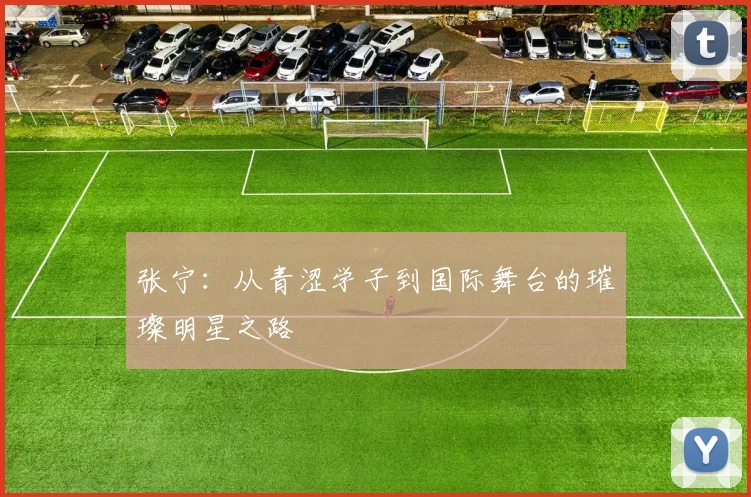 张宁：从青涩学子到国际舞台的璀璨明星之路