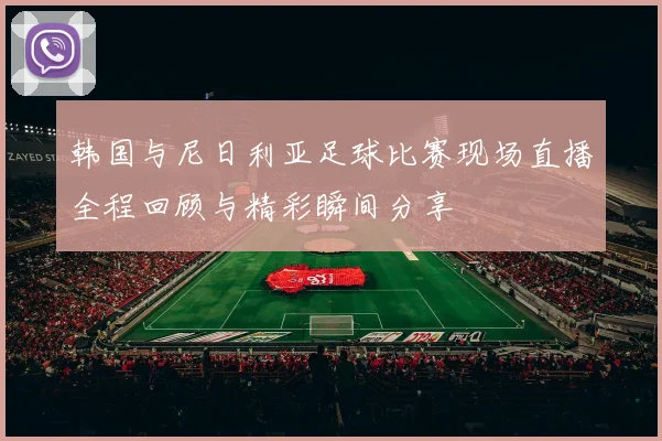韩国与尼日利亚足球比赛现场直播全程回顾与精彩瞬间分享