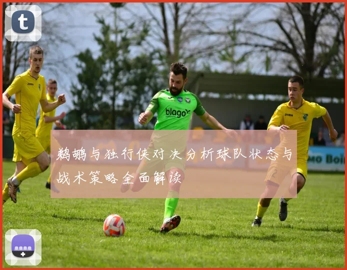 鹈鹕与独行侠对决分析球队状态与战术策略全面解读