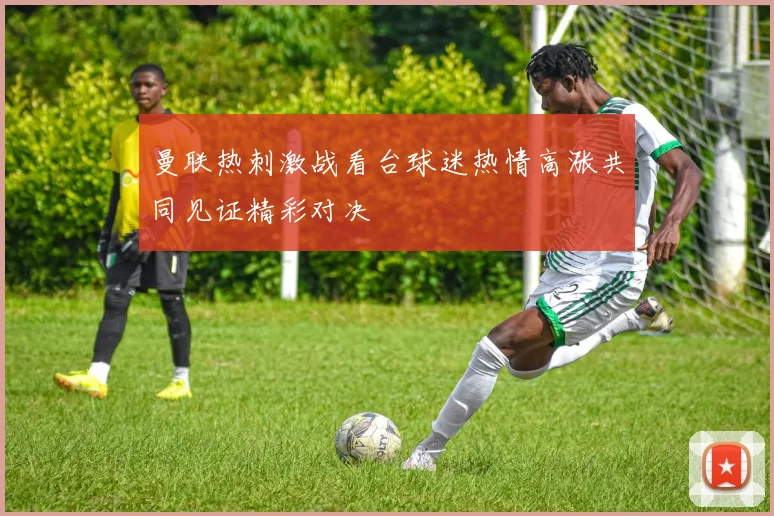 曼联热刺激战看台球迷热情高涨共同见证精彩对决