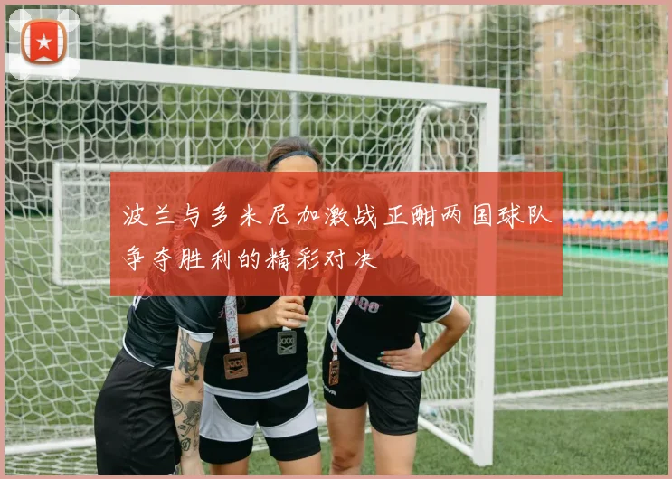 波兰与多米尼加激战正酣两国球队争夺胜利的精彩对决