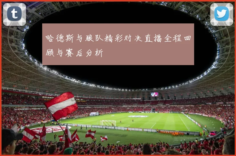 哈德斯与狼队精彩对决直播全程回顾与赛后分析